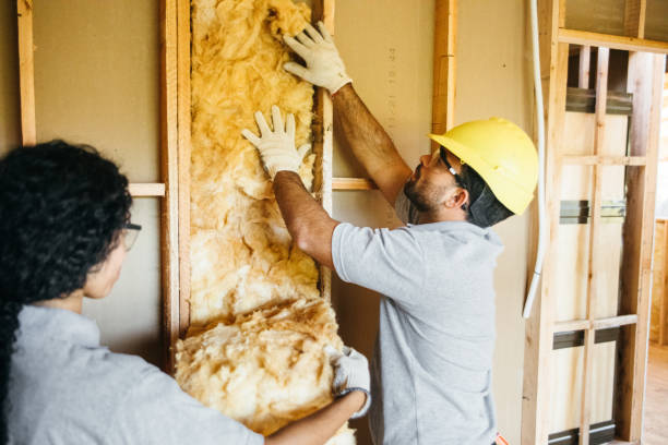 Best Spray Foam Insulation  in Dayton, MN